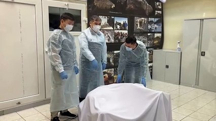 Universidad rusa presenta el hallazgo de una cría de mamut en buen estado de conservación