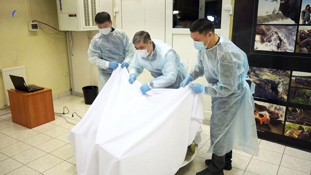 La Russie expose un petit mammouth quasi intact de 50.000 ans