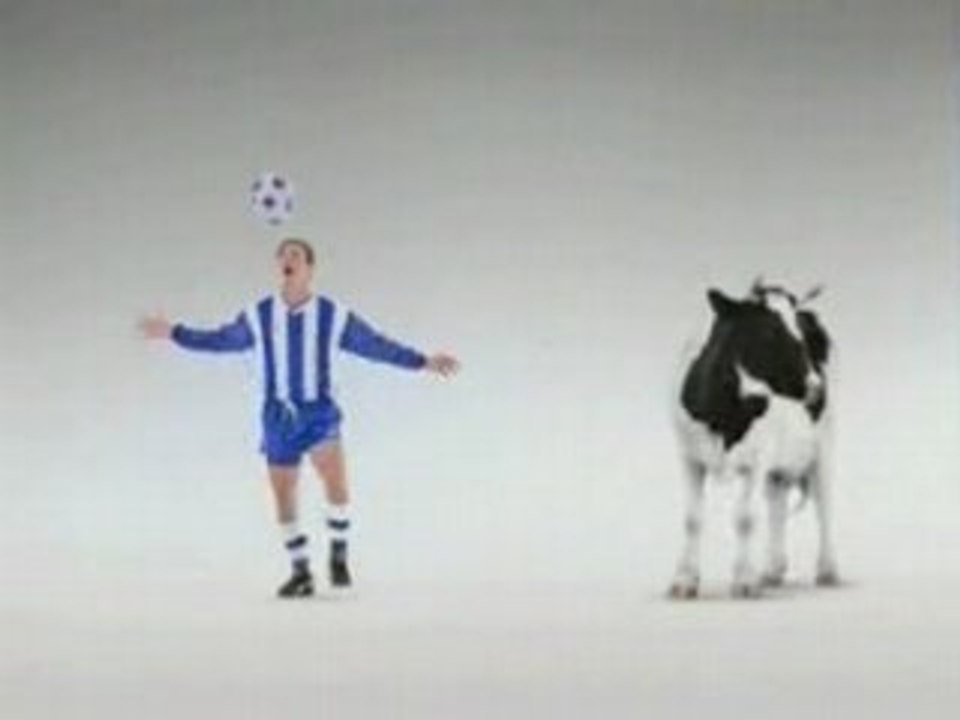 L'homme vs la vache
