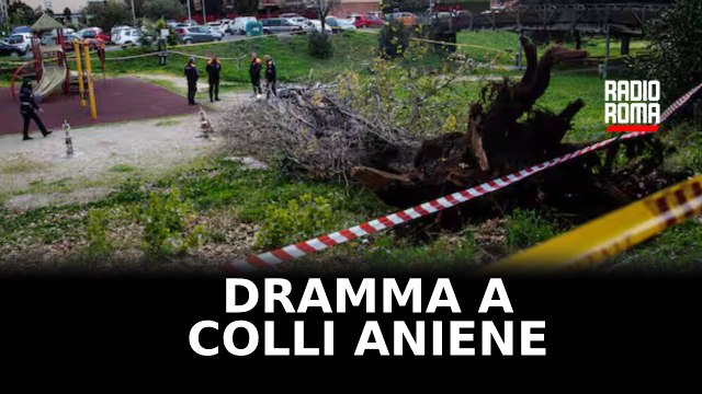 Colli Aniene, il crollo di un albero uccide una donna di 45 anni era al parco con i figli