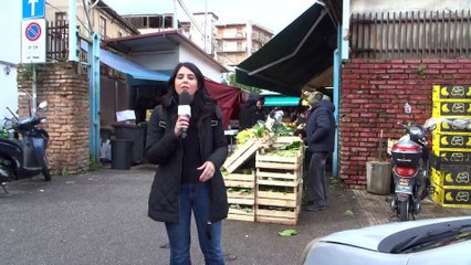 Tg Rtp 24 dicembre 2024