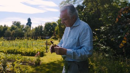 La quête d'Alain Ducasse