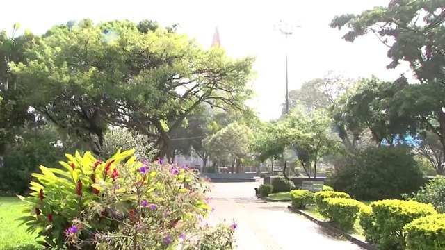 tn7-pronostico-del-clima-241224