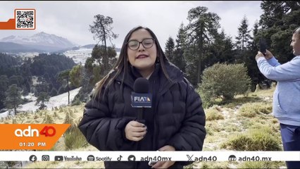 Así quedó un vehículo que se impacto contra una columna en Guadalajara, Jalisco