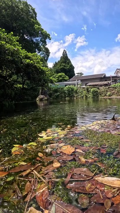 Beautiful inside view of Water lake