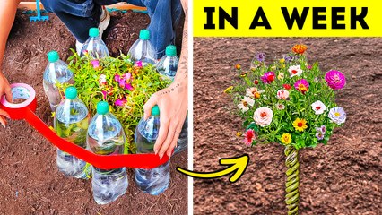 101 Genius Gardening Hacks To Transform Your Garden in a 5 Minutes!