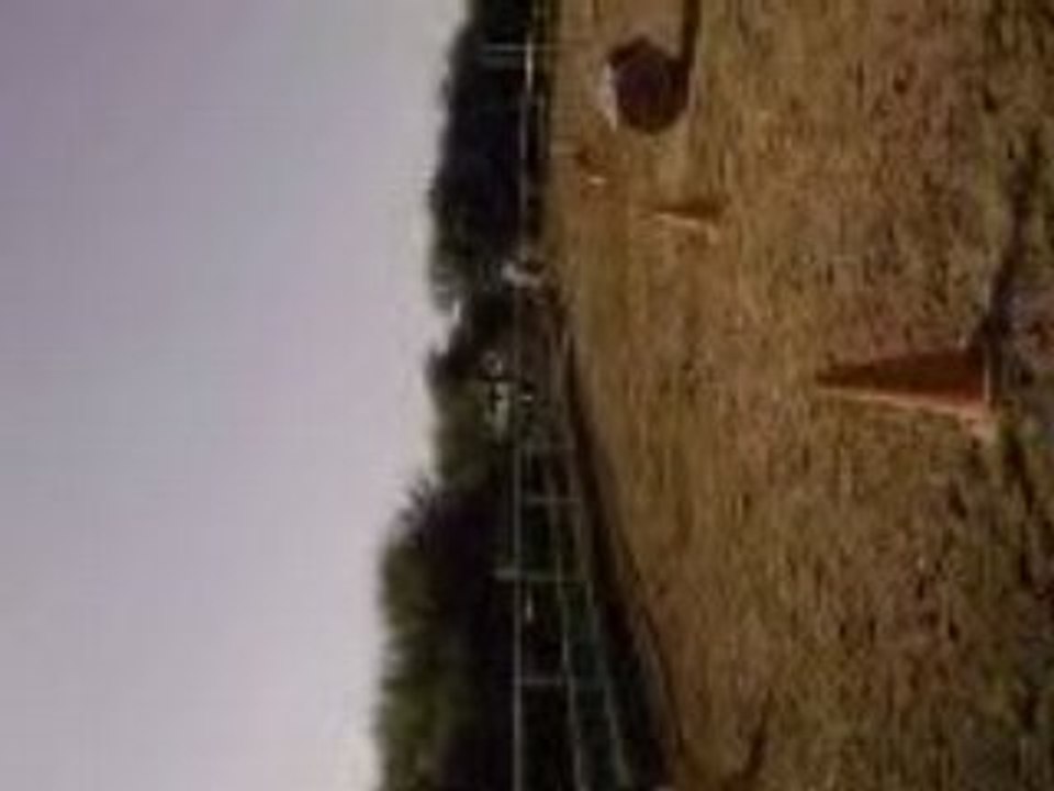 Cours de dressage