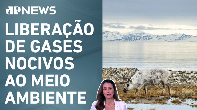 Aquecimento global transforma tundra, bioma mais frio do planeta; Patrícia Costa analisa