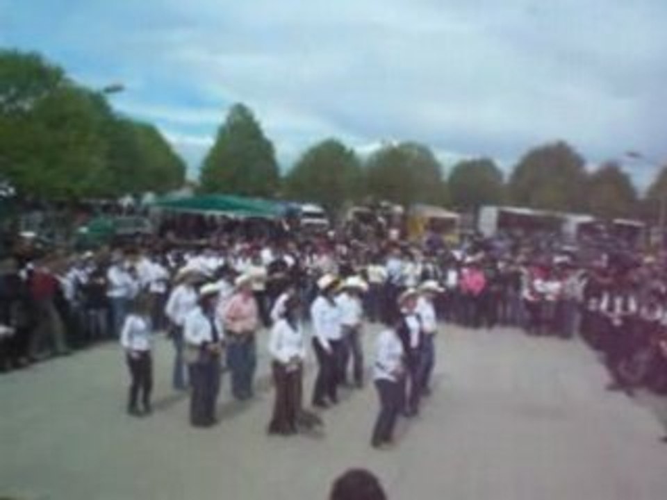 Festicozes picnic polka