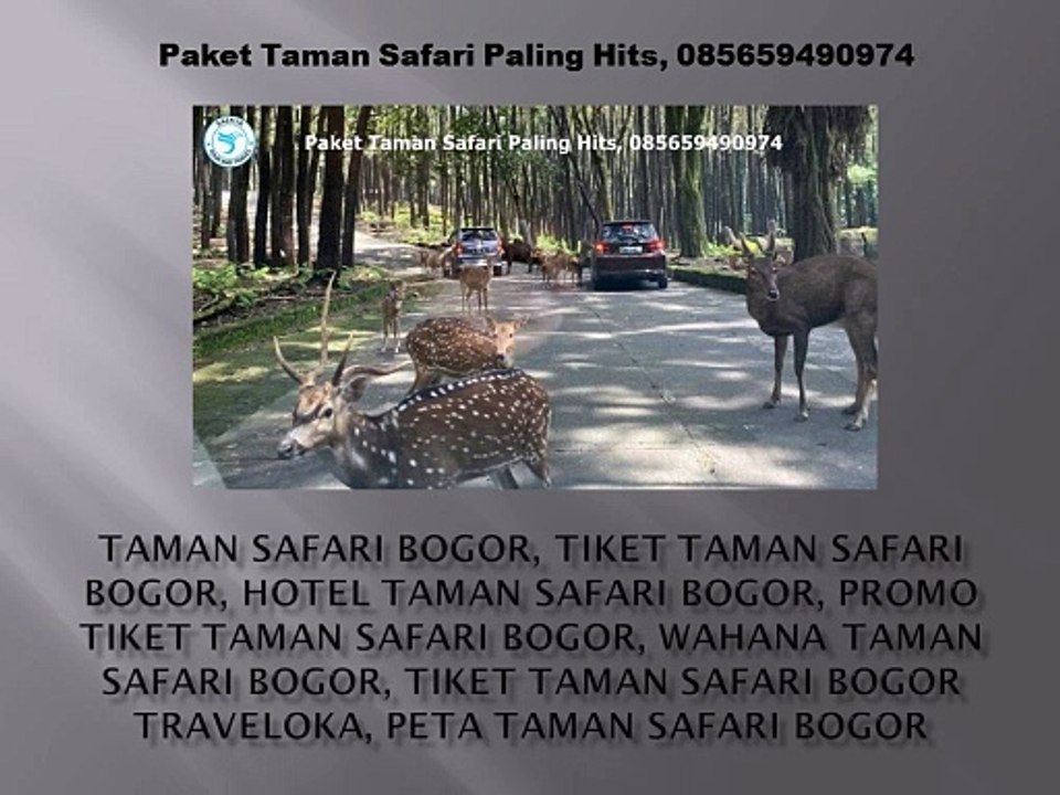 Paket Taman Safari Paling Hits, 085659490974