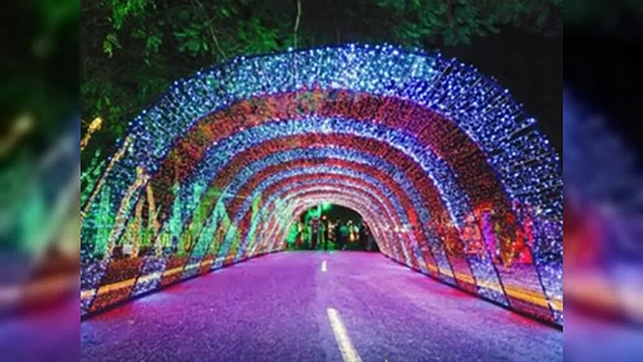 Mensajes de Navidad: figuras dominicanas expresan sus deseos