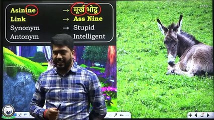 Lecture -10 __ A Letter 07 _ Noun 09 __ eng fdn(360P)