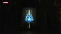 Mont-Saint-Michel : un sapin holographique qui fait fureur chez les touristes