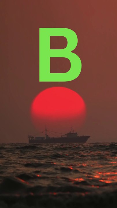 B 2