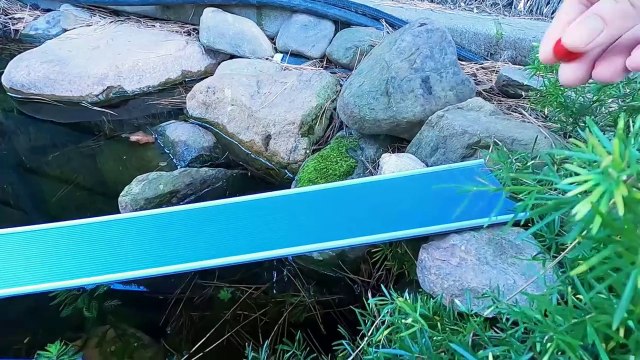 Marble Run Race and Water ASMR-Relaxing sounds and Mesmerizing journey