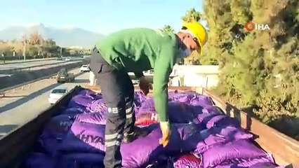 Antalya’da tespit edilen 135 ton kömür il dışına çıkarıldı