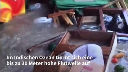 Die Tsunami-Katastrophe 2004: Tödliche Riesenwellen
