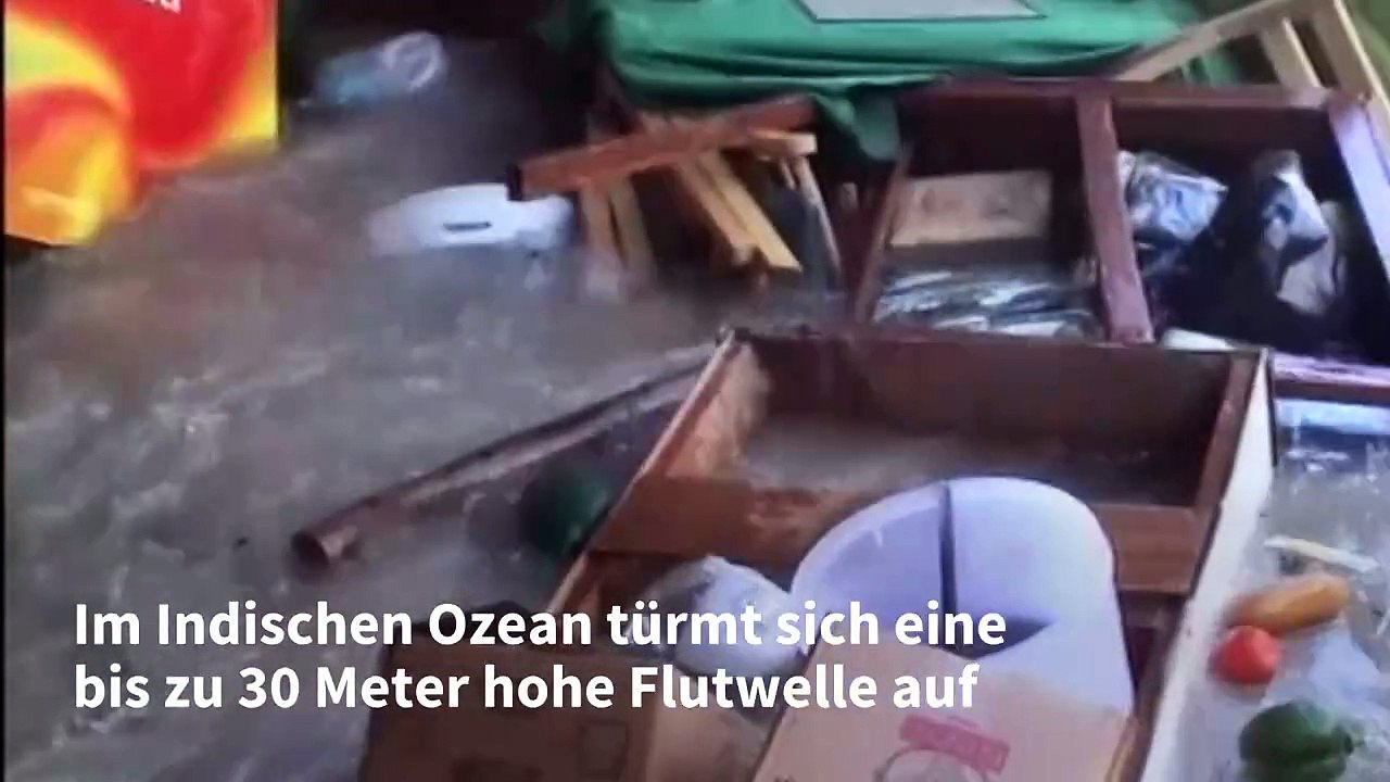 Die Tsunami-Katastrophe 2004: Tödliche Riesenwellen
