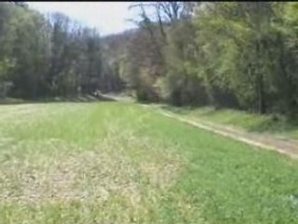 Terre d'auxerre 2008