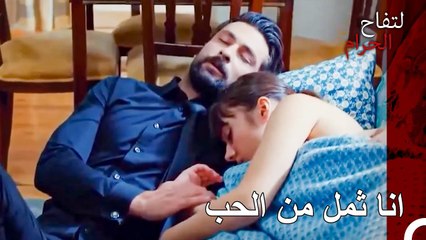 دعني انم بين أذرعك يا حبيبي - التفاح الحرام