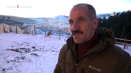 "Kar güzeli" adını verdiler, her gün elleriyle besliyorlar