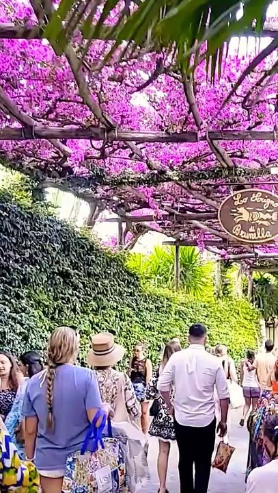 Amalfi Coast Walking Tour_ Positano_ the Most Iconic Village in Italy(720P_HD)