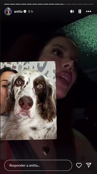 Cachorro de Anitta foge de casa na noite de Natal: Estou maluca!