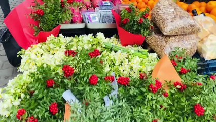 Kokina çiçeği tezgahları süslüyor