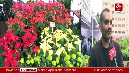 ఫ్లవర్​షోకు విశేష స్పందన - ఆకట్టుకుంటున్న వందలాది