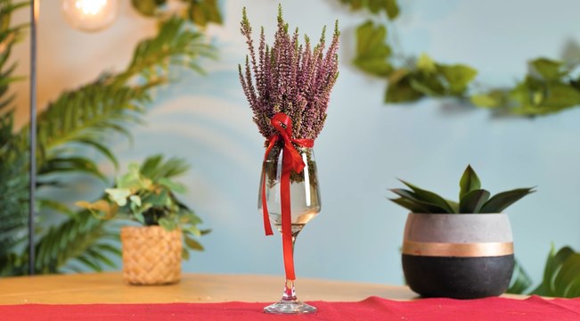 Les secrets d'un jardin florissant : Des conseils simples pour réussir !