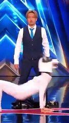 AI Magic - How do they do it