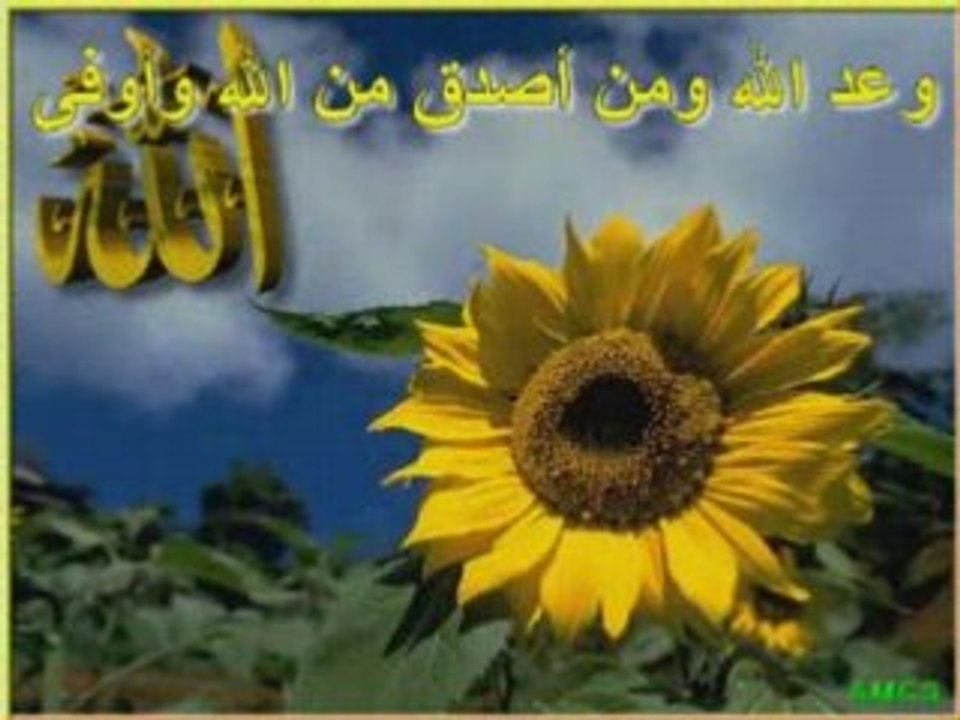 Al ajmi