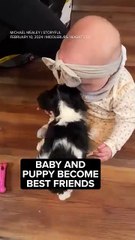 Baby and puppy become instant best friends.#kids #dog #animal #funnyasnimal