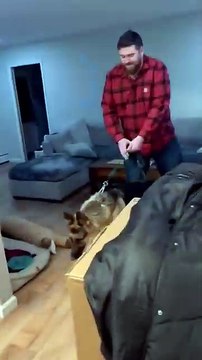 Adorable Dog Meets Family s New Baby! #kids #animal #kidsvideo #dog