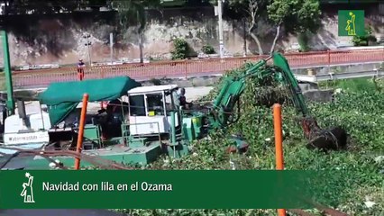 Navidad con lila en el Ozama