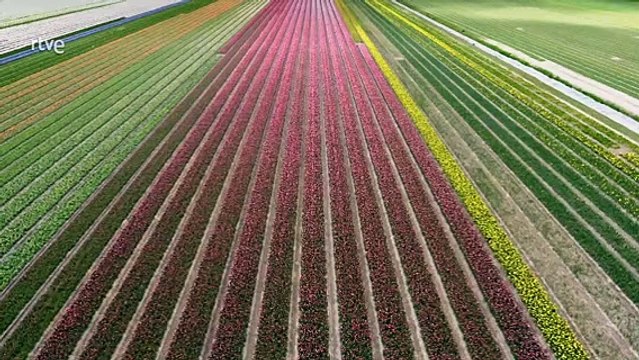 Documental Mares en movimiento - El desconocido mar del norte