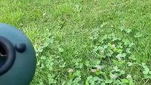 Rain drum for relaxation