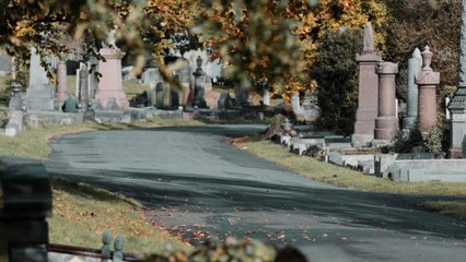 Le jeu de la vérité