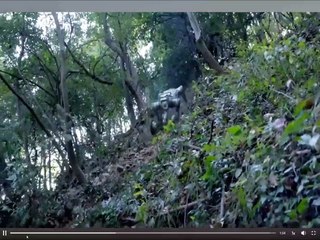 Discover How AI and Robotics Could Unlock Humanity’s Next Big Breakthrough 🚀