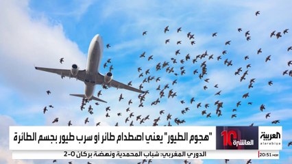 سرب طيور قاتل.. لماذا لم ينجح الهبوط الاضطراري للطائرة الأذربيجانية؟