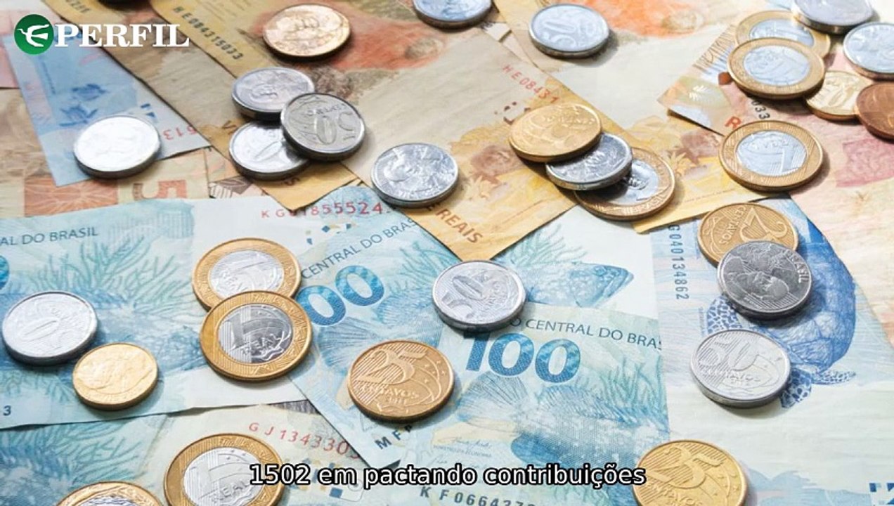 "MEIs impactados por novo salário mínimo, resgate emocionante de cachorro da Anitta e trem turístico inovador em 2025."