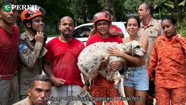 Segredos de Anitta, vida saudável e significados do Natal: descubra dicas para transformar sua rotina!