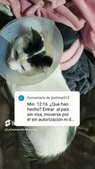 Preparando la botana para ver una serie de netflix  #viernesbotanero #shorts Respondiendo comentario