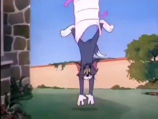 Cartoon Classics • Tom & Jerry • Cat and Mouse Chase