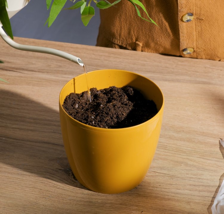 ASTUCES DE JARDINAGE : Des trucs simples pour un jardin magnifique !