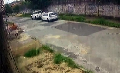 PM reformado é flagrado atirando em homem de joelhos