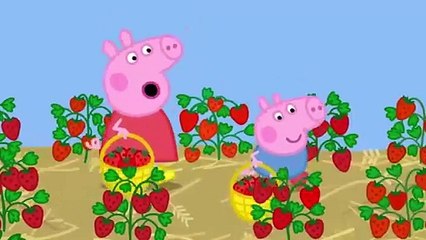 Peppa Pig Picks Strawberries!