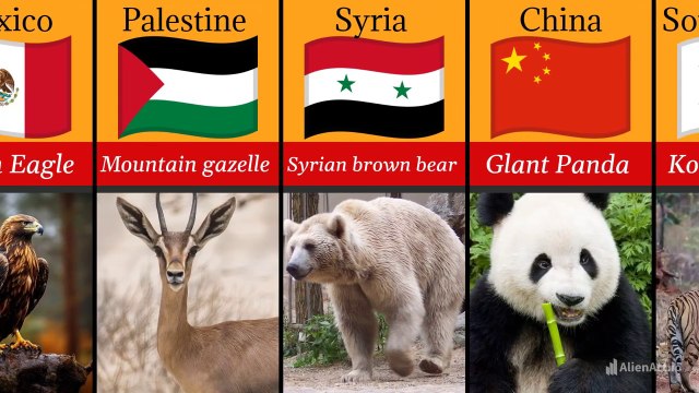 National animals of countries in world🌎_