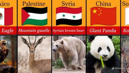 National animals of  countries in world🌎_