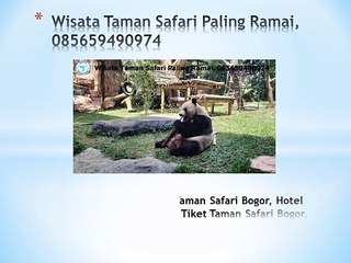 Wisata Taman Safari Paling Ramai, 085659490974